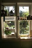 resbod_room