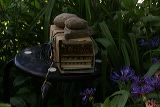 resbod_2_milk_box_nest